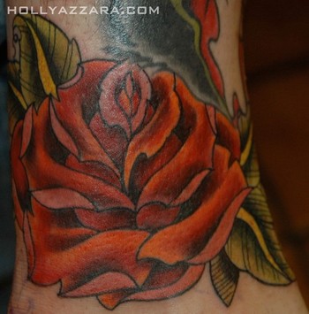 Holly Azzara - Jasons Rose Cover Up